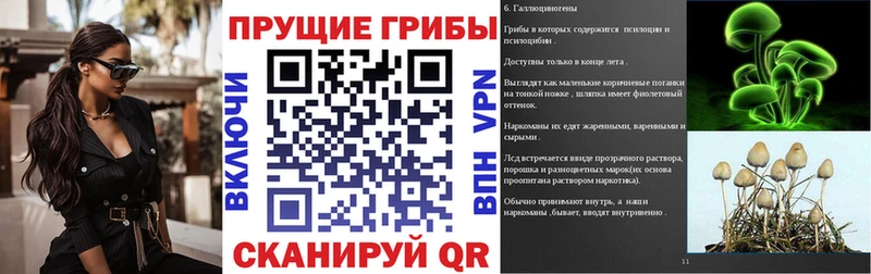 Псилоцибиновые грибы GOLDEN TEACHER  Купить закладки  Осташков 