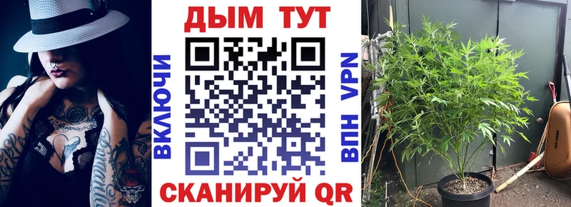 Шишки марихуана THC 21% Осташков